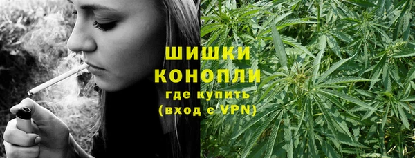 амф Балахна
