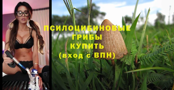 эйфоретик Баксан