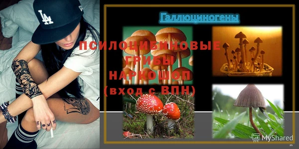 эйфоретик Баксан