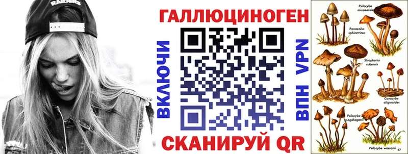 где купить наркотик Кудрово Псилоцибиновые грибы ЛСД
