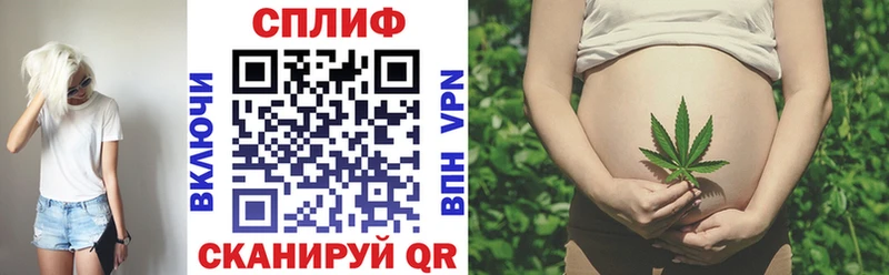 Конопля индика  Кудрово 
